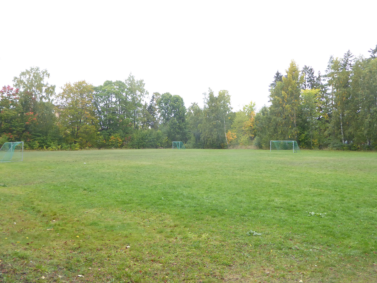 Den fullstora fotbollsplanen med vacker inramning.