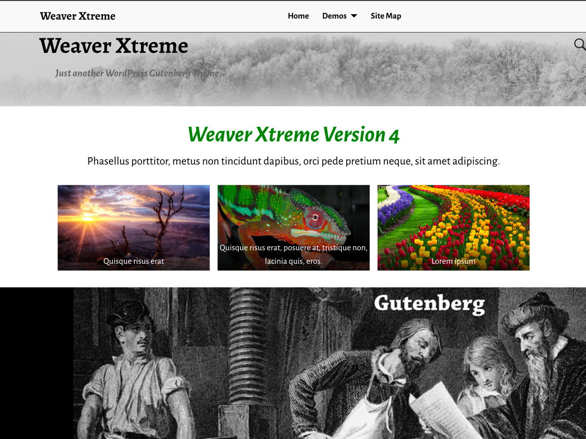 Weaver Xtreme