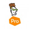 Godaddy Pro