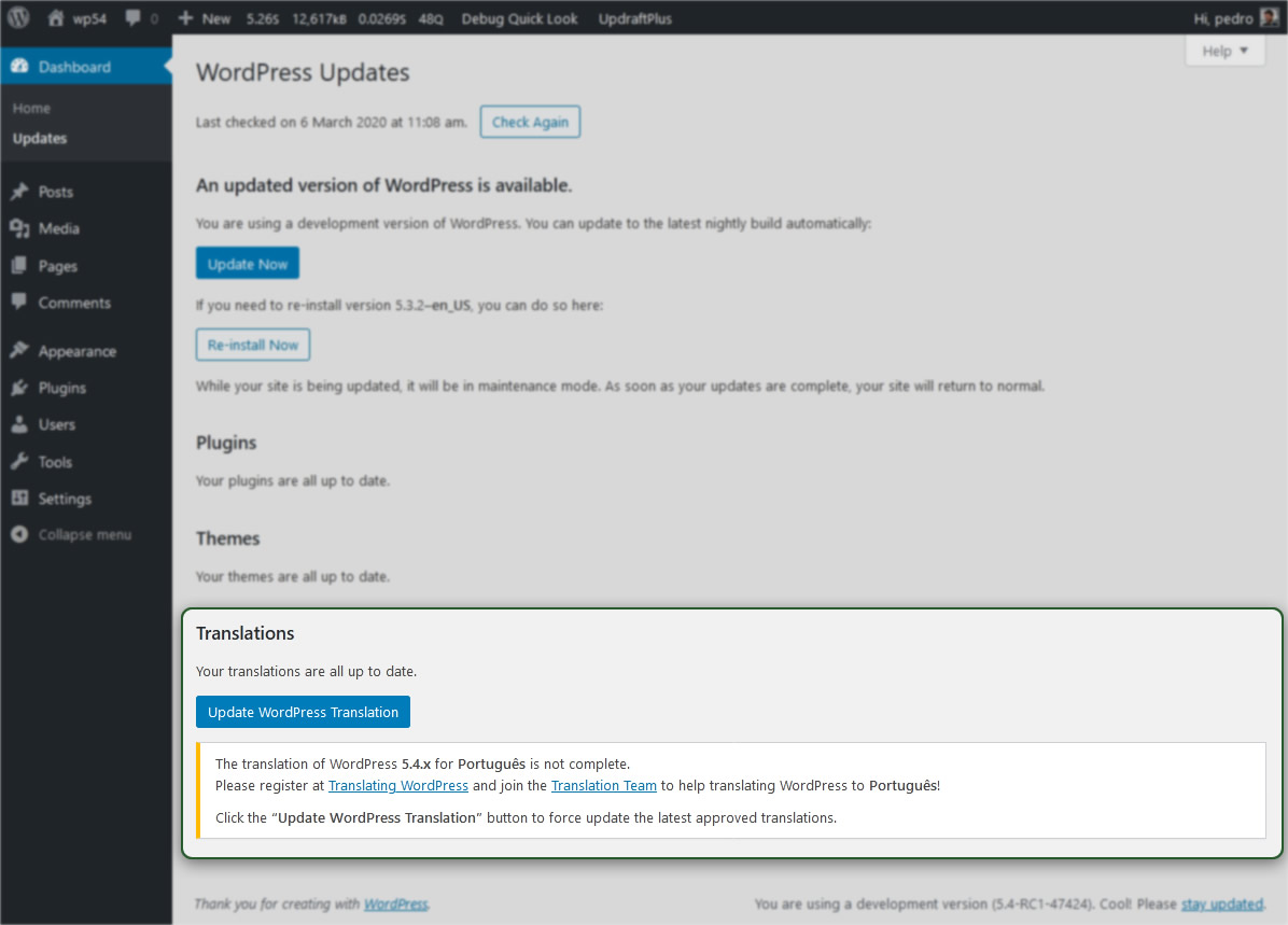 WordPress Updates dashboard screenshot