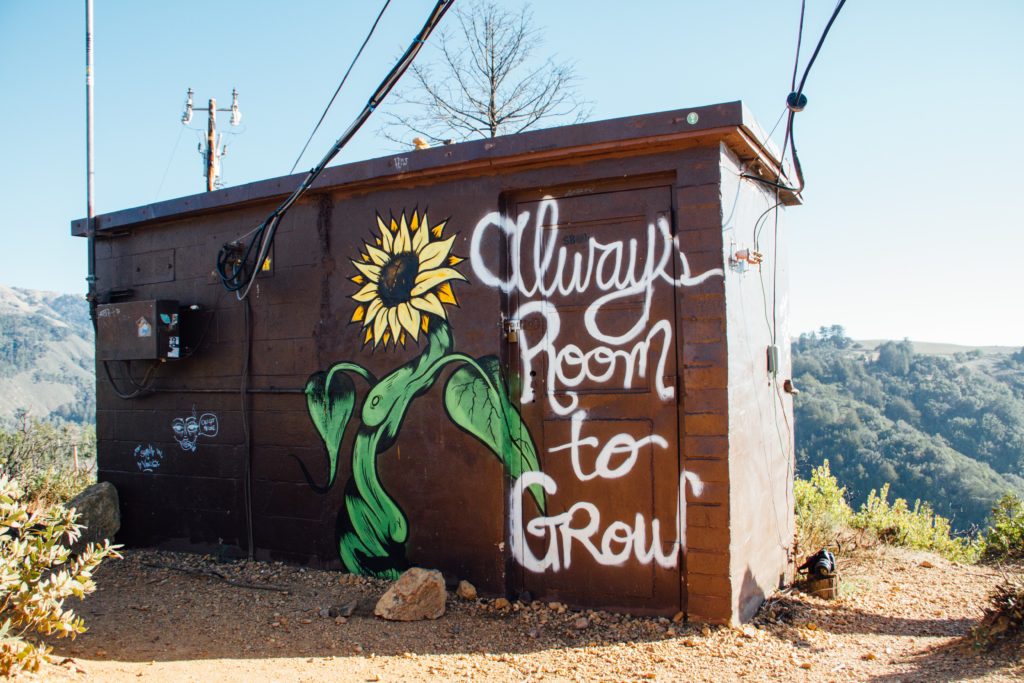 Shed with a sunflower painted on the side. Text reads, "Always room to grow."