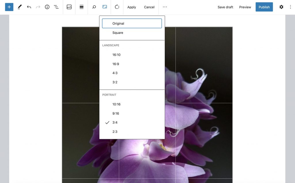 Editing an image in the image block, aspect ration drop-down open.