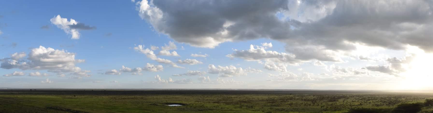 A panoramic view of sunset over Nairobi National Park.