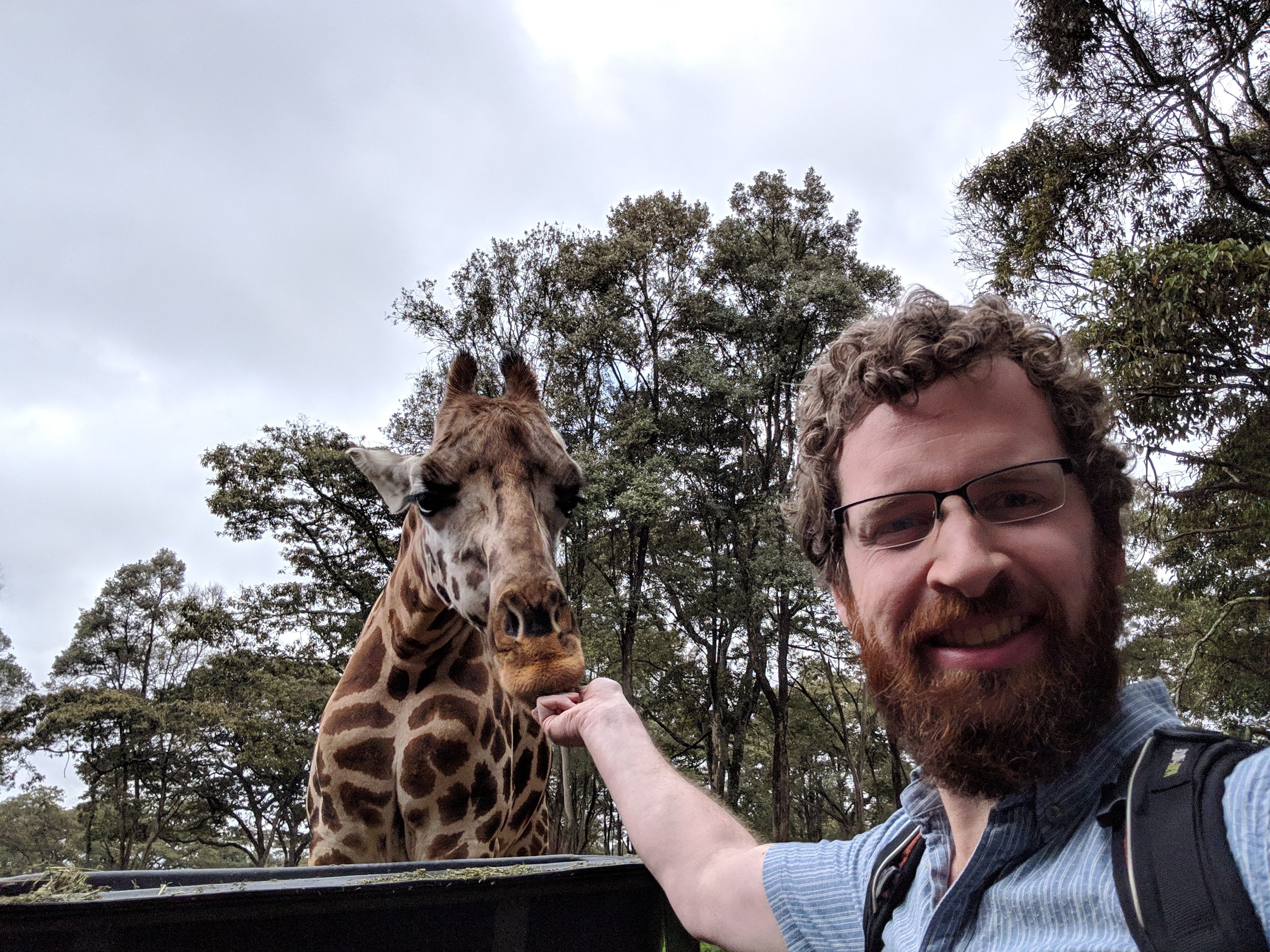 A selfie of me feeding a giraffe.