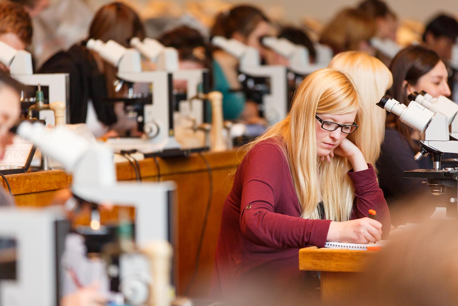 Studierende im Hörsaal