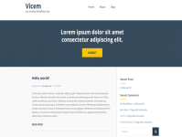 Vicem