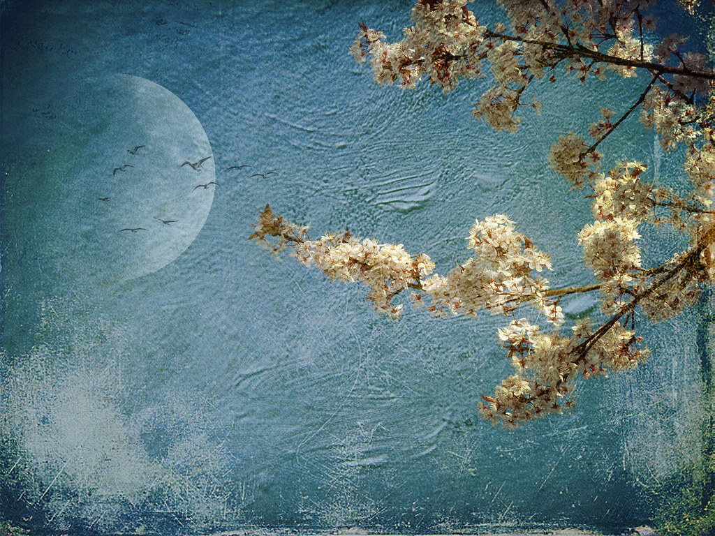 A moon in a blue background, with flowering branches in the foreground