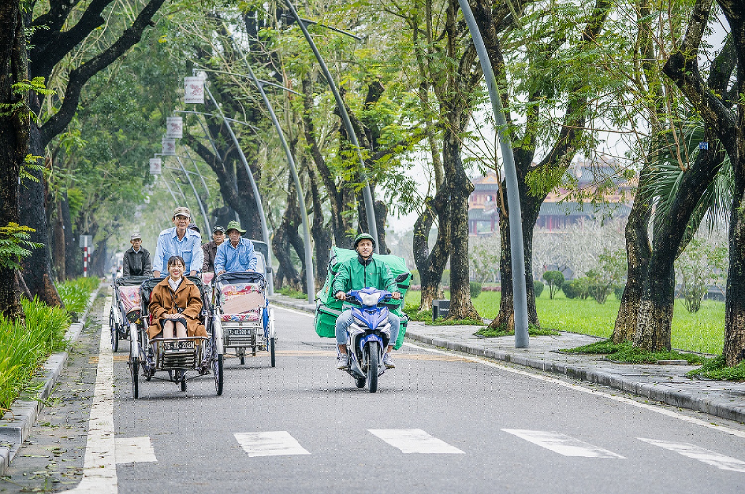 MỘT MÀU XANH QUEN THUỘC TRẢI DÀI KHẮP DẢI ĐẤT HÌNH CHỮ S