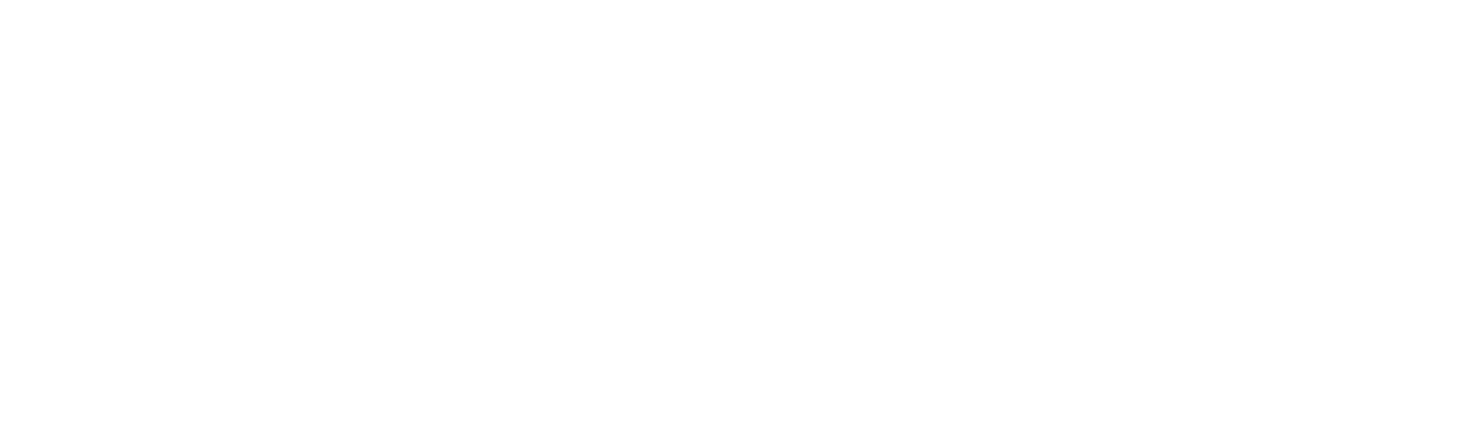 WordCamp Châu Á 2024